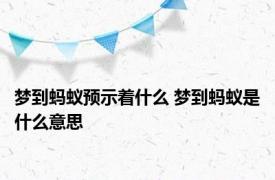 梦到蚂蚁预示着什么 梦到蚂蚁是什么意思