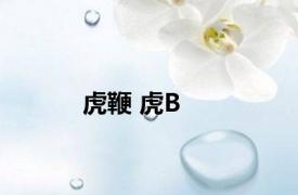 虎鞭 虎B 