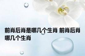 前肖后肖是哪几个生肖 前肖后肖哪几个生肖