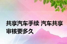 共享汽车手续 汽车共享审核要多久