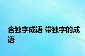 含独字成语 带独字的成语