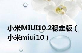 小米MIUI10.2稳定版（小米miui10）