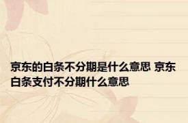 京东的白条不分期是什么意思 京东白条支付不分期什么意思