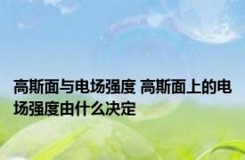 高斯面与电场强度 高斯面上的电场强度由什么决定