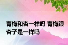 青梅和杏一样吗 青梅跟杏子是一样吗