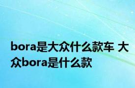 bora是大众什么款车 大众bora是什么款