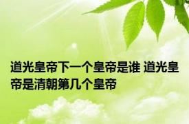 道光皇帝下一个皇帝是谁 道光皇帝是清朝第几个皇帝