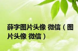 薛字图片头像 微信（图片头像 微信）