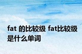 fat 的比较级 fat比较级是什么单词