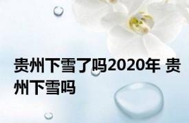 贵州下雪了吗2020年 贵州下雪吗