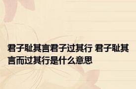 君子耻其言君子过其行 君子耻其言而过其行是什么意思