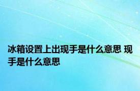 冰箱设置上出现手是什么意思 现手是什么意思 