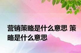 营销策略是什么意思 策略是什么意思