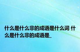 什么是什么非的成语是什么词 什么是什么非的成语是_