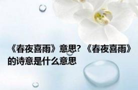 《春夜喜雨》意思? 《春夜喜雨》的诗意是什么意思