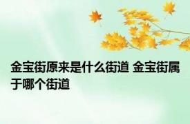 金宝街原来是什么街道 金宝街属于哪个街道