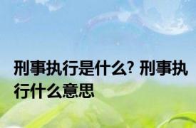 刑事执行是什么? 刑事执行什么意思