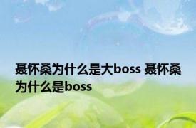 聂怀桑为什么是大boss 聂怀桑为什么是boss