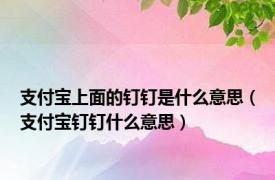 支付宝上面的钉钉是什么意思（支付宝钉钉什么意思）