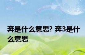 奔是什么意思? 奔3是什么意思