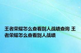 王者荣耀怎么查看别人战绩查询 王者荣耀怎么查看别人战绩