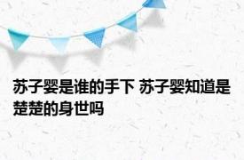 苏子婴是谁的手下 苏子婴知道是楚楚的身世吗