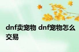 dnf卖宠物 dnf宠物怎么交易 