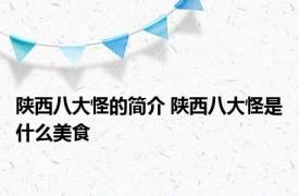 陕西八大怪的简介 陕西八大怪是什么美食