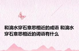 和滴水穿石意思相近的成语 和滴水穿石意思相近的词语有什么