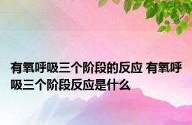 有氧呼吸三个阶段的反应 有氧呼吸三个阶段反应是什么