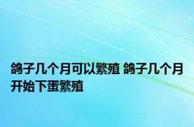 鸽子几个月可以繁殖 鸽子几个月开始下蛋繁殖