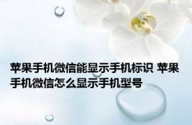 苹果手机微信能显示手机标识 苹果手机微信怎么显示手机型号