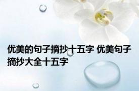 优美的句子摘抄十五字 优美句子摘抄大全十五字