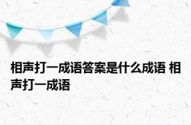 相声打一成语答案是什么成语 相声打一成语