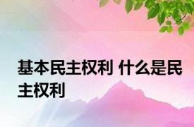 基本民主权利 什么是民主权利