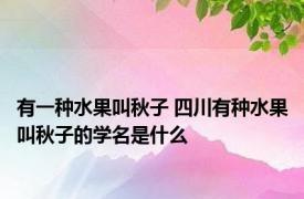 有一种水果叫秋子 四川有种水果叫秋子的学名是什么