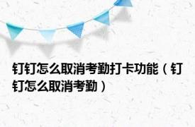 钉钉怎么取消考勤打卡功能（钉钉怎么取消考勤）