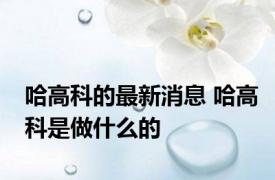 哈高科的最新消息 哈高科是做什么的