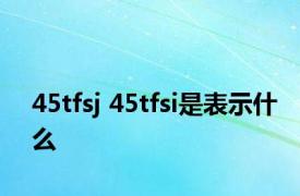 45tfsj 45tfsi是表示什么