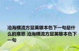 沧海横流方显英雄本色下一句是什么的意思 沧海横流方显英雄本色下一句