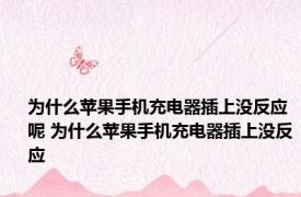 为什么苹果手机充电器插上没反应呢 为什么苹果手机充电器插上没反应