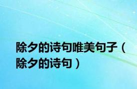 除夕的诗句唯美句子（除夕的诗句）