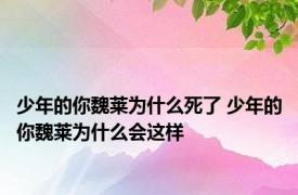 少年的你魏莱为什么死了 少年的你魏莱为什么会这样