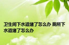 卫生间下水道堵了怎么办 厕所下水道堵了怎么办