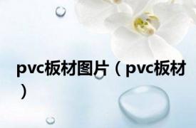 pvc板材图片（pvc板材）