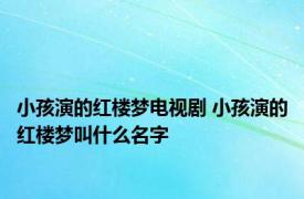 小孩演的红楼梦电视剧 小孩演的红楼梦叫什么名字