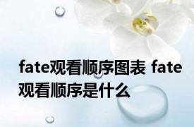 fate观看顺序图表 fate观看顺序是什么