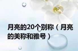 月亮的20个别称（月亮的美称和雅号）