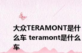 大众TERAMONT是什么车 teramont是什么车