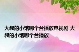 大叔的小馆哪个台播放电视剧 大叔的小馆哪个台播放